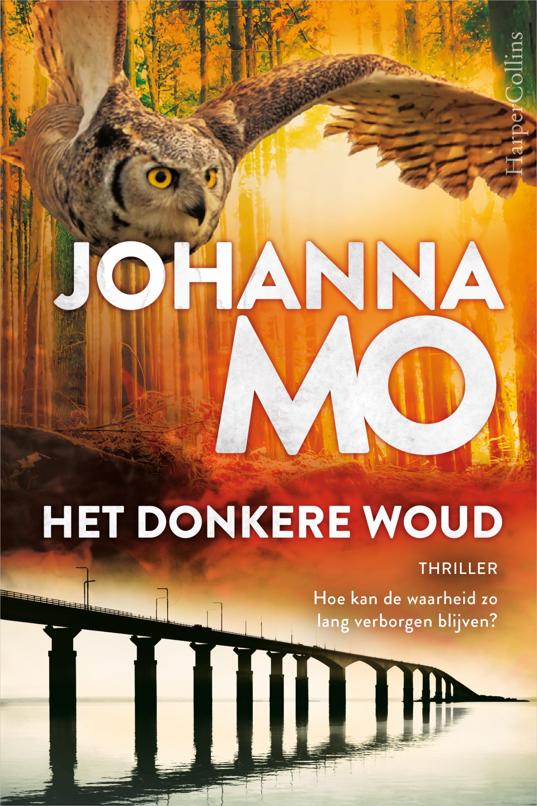 Omslag van de thriller Het donkere woud van de Zweedse schrijfster Johanna Mo.